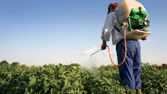 فضيحة المبيدات الاسرائيلية المسرطنة للتاجر الحوثي ”دغسان” تهز اليمن.. وقيادات الجماعة ترفض التجاوب