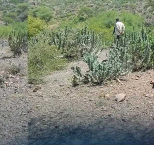 رعاة غنم يعثرون على جثة مواطن مقلوع العينين في تعز