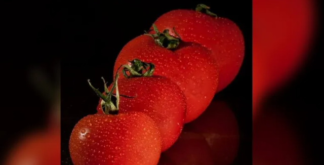 دراسة حديثة تشير إلى فوائد الطماطم في تقليل خطر الإصابة بارتفاع ضغط الدم