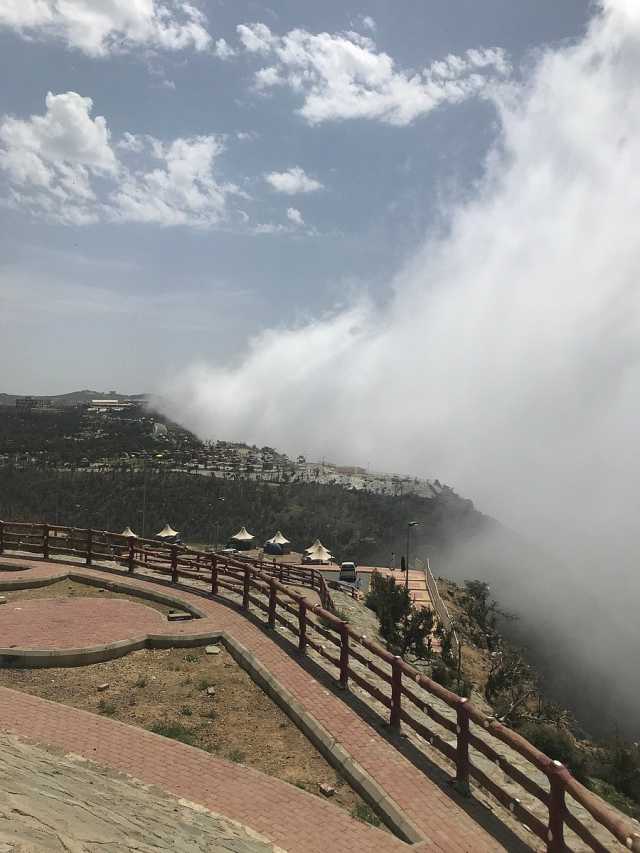 بالفيديو.. الضباب يغطي منتزه غابة رغدان في الباحة