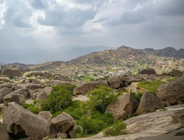 محمية جبل شدا الأعلى تتميز بنقوشها التاريخية وتنوعها النباتي والفطري