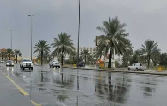 طقس المملكة الخميس.. أمطار رعدية ورياح نشطة مثيرة للأتربة والغبار