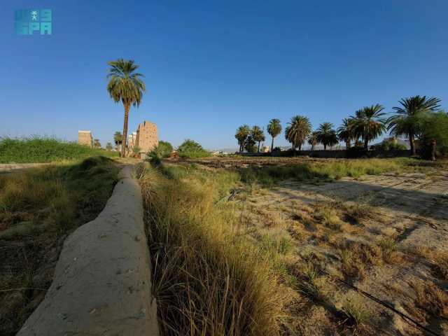 المزارع وبيوت الطين بنجران.. وجهة جاذبة للسيّاح