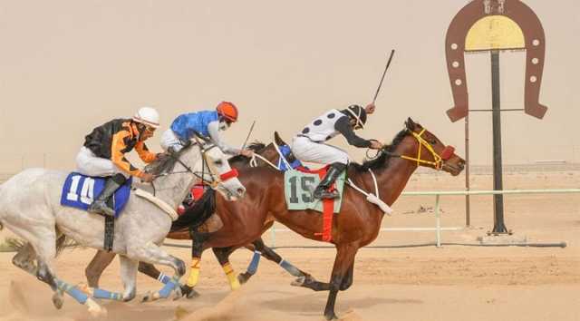 ميدان فروسية الأحساء يقيم حفل سباقه الـ 13