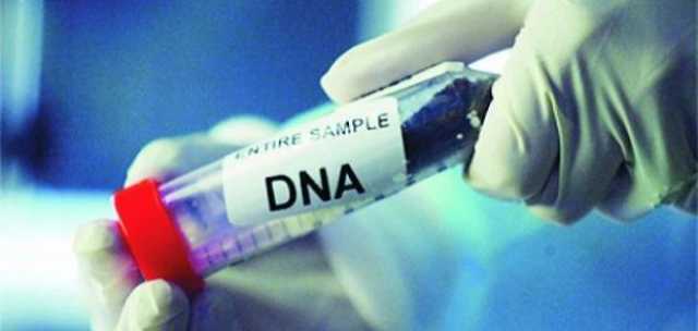 تحليل DNA.. نداء عاجل من الحكومة لأهالي المفقودين في الحج