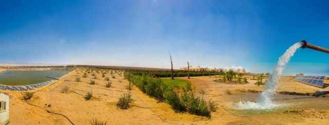 الريف المصري: بدء تسليم الأسمدة المدعمة للمنتفعين بمشروع الـ1.5 مليون فدان