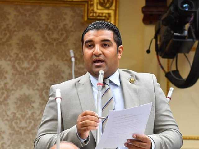 هجوم برلماني علي وزيرة الثقافة خلال اجتماع لجنة حقوق الإنسان