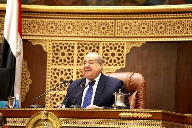 رئيس مجلس الشيوخ يبحث تعزيز التعاون المشترك خلال لقائه رئيس أوزبكستان