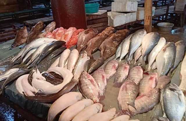 انخفاص أسعار السمك البلطي والمكرونة وارتفاع البوري اليوم في سوق العبور