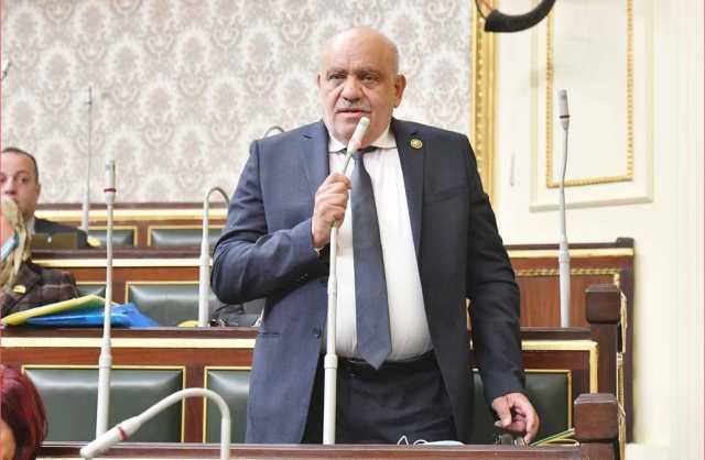 برلماني: تأييد تام لسياسات السيسى في الحفاظ على أمن مصر وحدوها