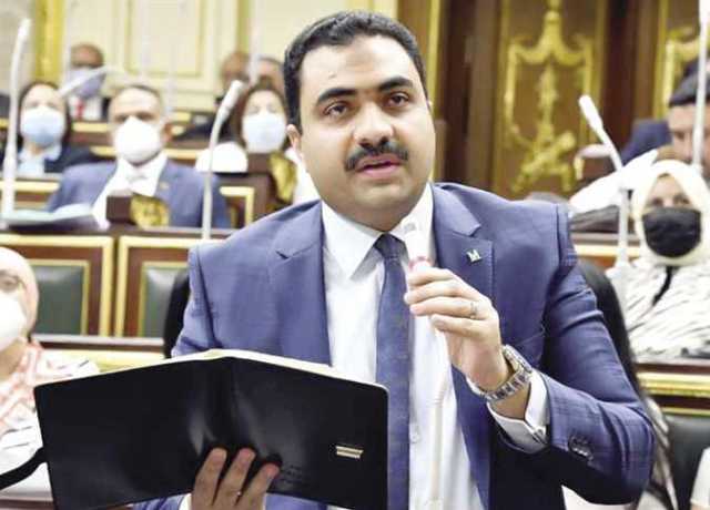 برلماني: المساس بالمقدسات الدينية خط أحمر بالنسبة لمصر والدول العربية