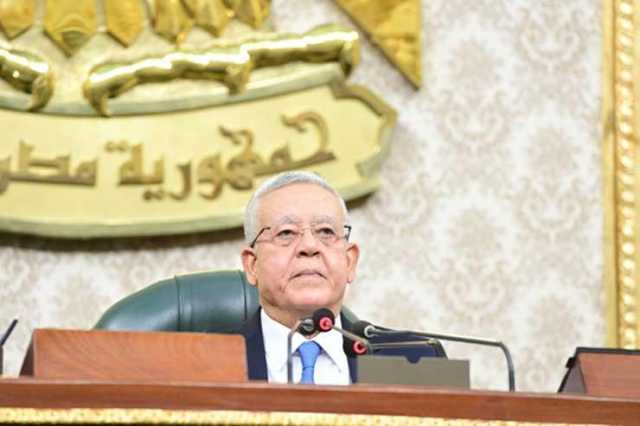 رفع الجلسة العامة لـ النواب لـ ٢٥ فبراير