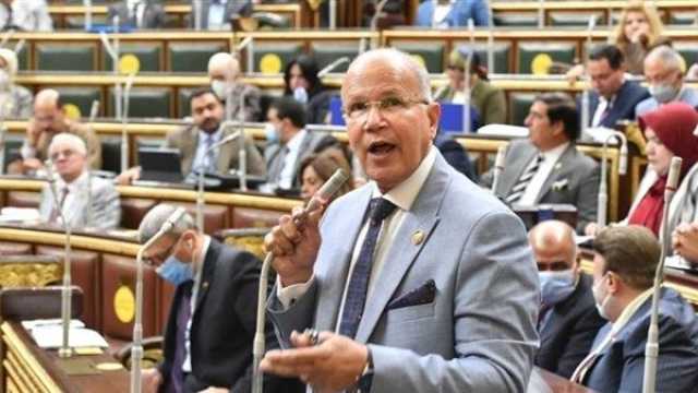 برلماني: تصريحات وزير الأمن القومي الإسرائيلي إهانة للمجتمع الدولي