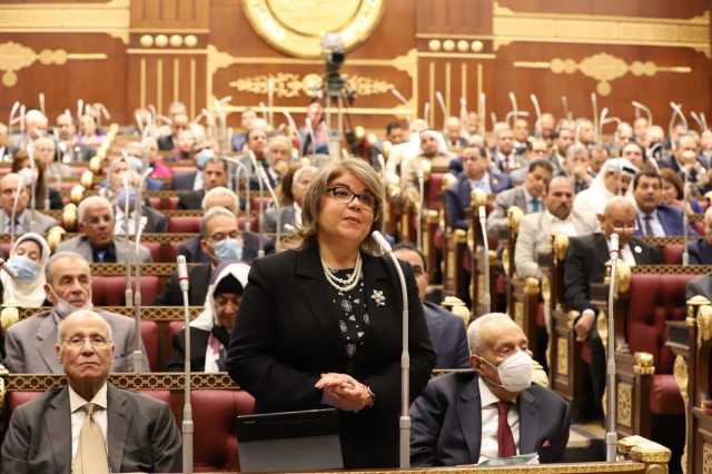 الشريان الحيوي لرؤية مصر 2030.. برلمانية: تعميق الشراكة بين القطاعَين العام والخاص لدعم قطاع النقل
