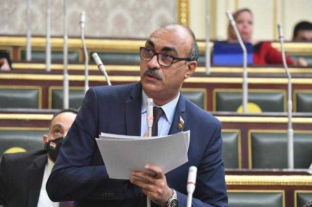 رئيس برلمانية المصري الديمقراطي: هذه أولوياتنا خلال الفترة المقبلة
