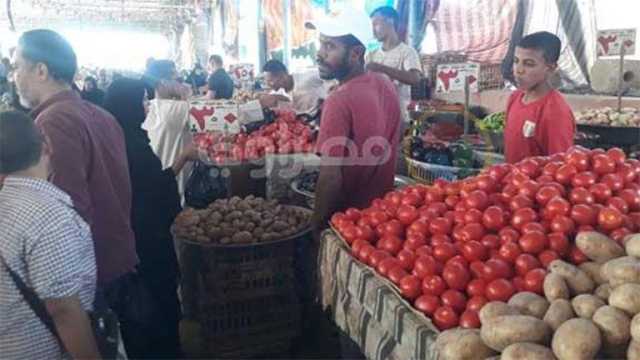 رئيس شعبة الخضروات والفاكهة يكشف تفاصيل انخفاض أسعار السلع -(فيديو)