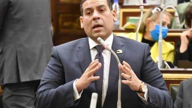 برلماني: الدولة المصرية قادرة على ردع أي مخطط يمس أمنها القومي