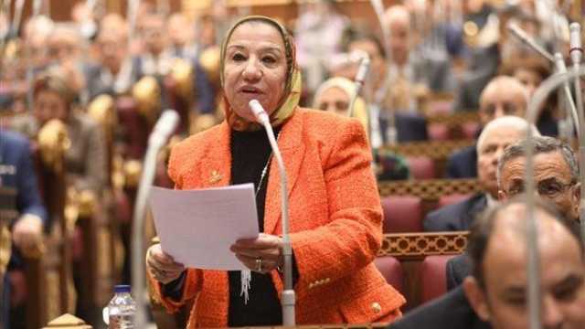 برلمانية: زيارة غوتيريش لمصر تؤكد صدق الموقف المصري تجاه القضية الفلسطينية