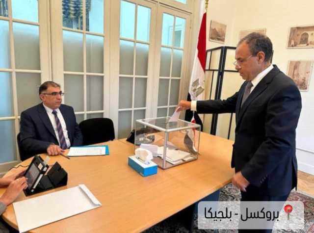 انتخابات الرئاسة.. إقبال كثيف من المصريين على صناديق الاقتراع ببروكسيل