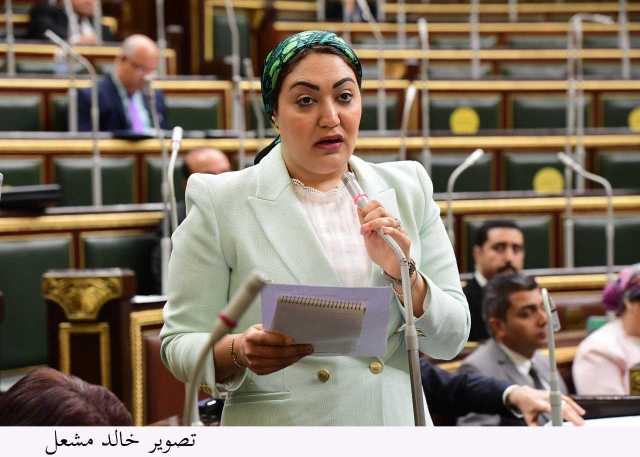 برلمانية: إطلاق وثيقة معاش للمصريين بالخارج خطوة غير مسبوقة