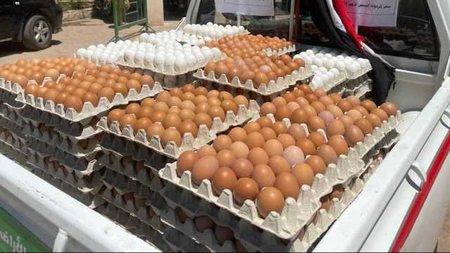 ارتفاع أسعار البيض الأبيض والأحمر اليوم الثلاثاء في المزرعة