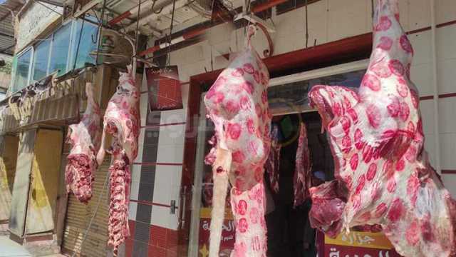 أسعار اللحوم تحرق جيوب المواطنين والمربين.. وخبراء يضعون روشتة للخروج من الأزمة