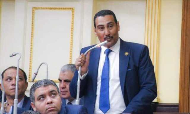 برلماني: المصارحة والمواجهة مبادىء الحكومة الجديدة نحو التقدم وإنهاء الأزمات