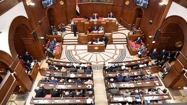 مجلس الشيوخ يرفض طلب رفع الحصانة عن النائب عاطف النمكي