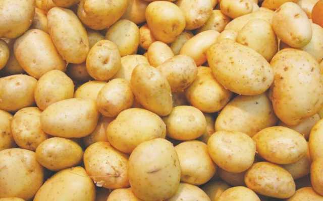البطاطس في المقدمة.. سلامة الغذاء: تصدير 66 ألف طن خضروات خلال أسبوع