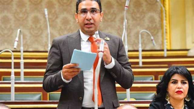 برلماني: مصر تقوم بدور فاعل في المنطقة لحفظ الاستقرار والأمن