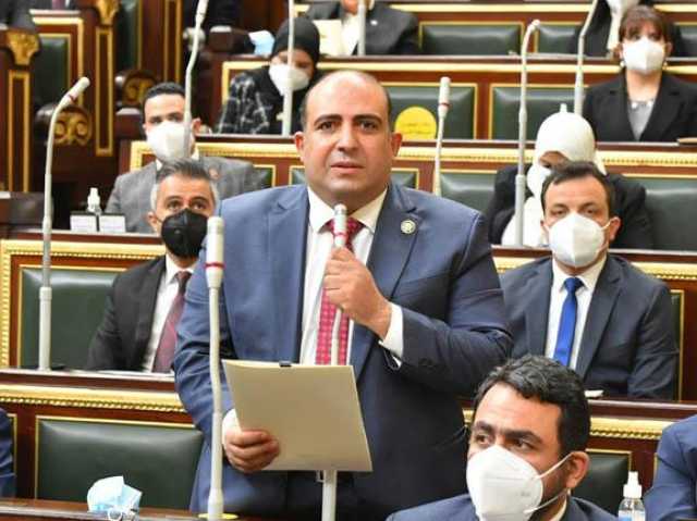 برلماني: مصر ستقدم للعالم نموذجا رائعا في ممارسة الحق الدستوري بالانتخابات الرئاسية
