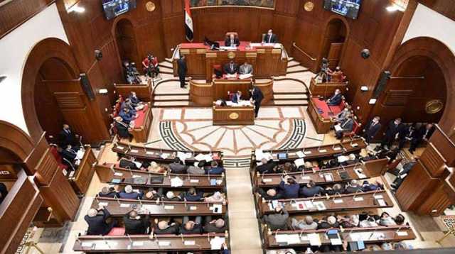 إنزال جوي لإغاثة غزة.. برلماني: مصر تسعى لتخفيف معاناة الفلسطينيين بكل السُّبل