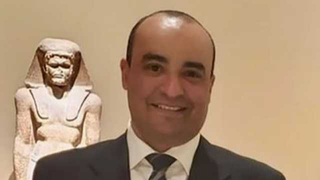 الدكتور محمد إسماعيل خالد أمينا عاما للمجلس الأعلى للآثار