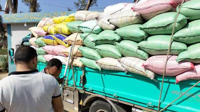 تصل للحبس وغرامة ٤ ملايين جنيه.. تعرف على عقوبة احتكار القمح