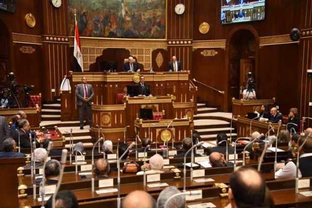 رئيس زراعة الشيوخ يطالب بمراجعة كل قوانين الاستثمار في مصر.. ورئيس المجلس يرد