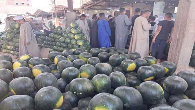 خبير يكشف الفرق يين البطيخ المنجاوي والأحمر