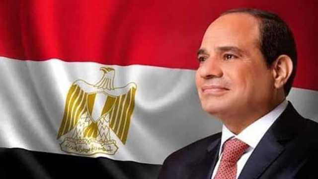 الرئيس السيسي يلتقي نظيره الإيراني