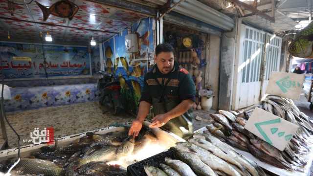 مربو الأسماك في العراق يشكون تراكم المشاكل ويطرحون حلاً وحيداً