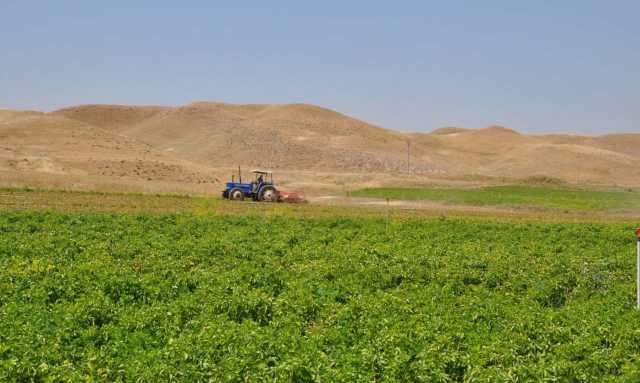 اسوة بقرار كوردستان.. زراعة كرميان تطالب بغداد بمنع استيراد المحاصيل الزراعية