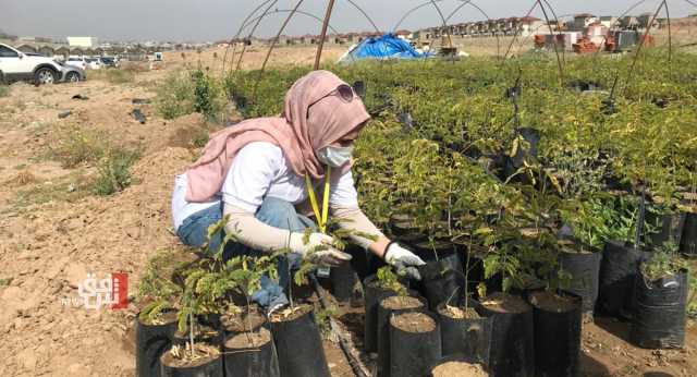 دراسة علمية تقدم بديلاً غذائياً يسهم بخفض الانبعاثات الغازية