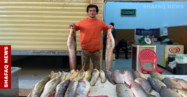 يطالبون بـعلوة مركزية.. بائعو السمك في الرمادي بلا مصدر رزق بعد إزالة بسطاتهم