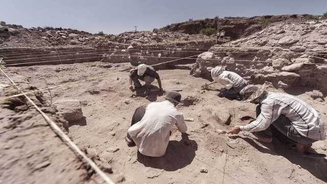 تحليل علمي: طفرة جينية لدى سكان الجزيرة العربية جعلتهم أكثر مقاومة للملاريا