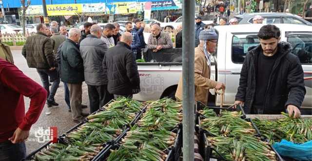 تستخدم للطهي والعلاج... الأعشاب الربيعية تملأ سوق شيلادزي في دهوك (صور)