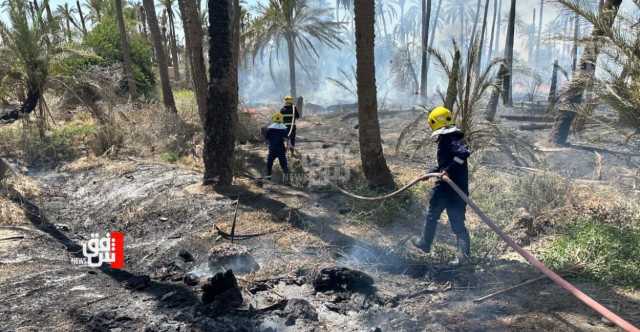 حريق يلتهم بستانين زراعيين في ديالى