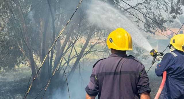 عبث أطفال يُشعل النار في أربعة بساتين شمال شرقي ديالى