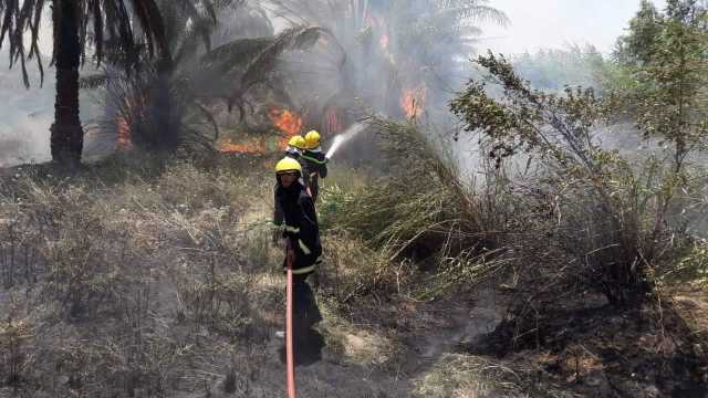 حريق كبير يلتهم بستانًا في أطراف الخالص بديالى