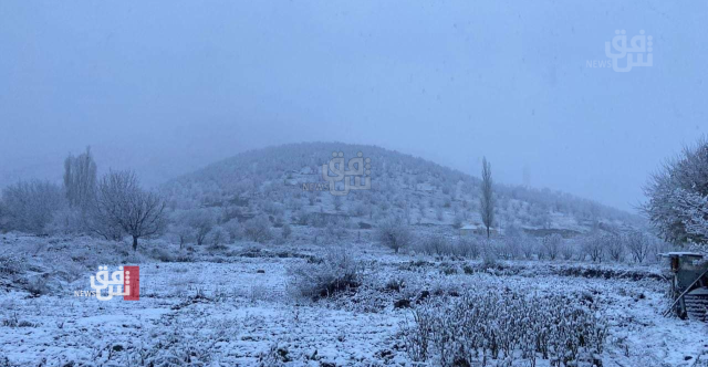 طقس العراق.. تحذير من ليلة ويوم شديدي البرودة وانجماد شمالي وغربي