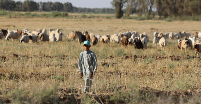 مقتل طفلين بانفجار لغم عنقودي من مخلفات داعش بصلاح الدين