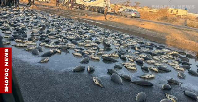 الأسماك تقطع طريقاً حيوياً يربط بغداد بإقليم كوردستان (صور)