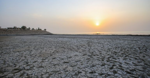 بعد جفاف الحبانية.. الخنازير تهاجم أهالي الأنبار بحثًا عن الماء